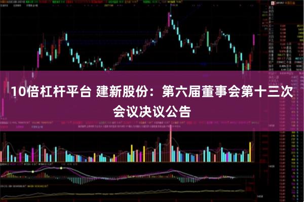 10倍杠杆平台 建新股份：第六届董事会第十三次会议决议公告