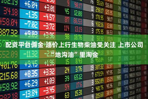 配资平台佣金 油价上行生物柴油受关注 上市公司“地沟油”里淘金