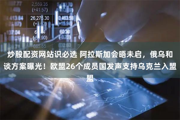 炒股配资网站识必选 阿拉斯加会晤未启，俄乌和谈方案曝光！欧盟26个成员国发声支持乌克兰入盟